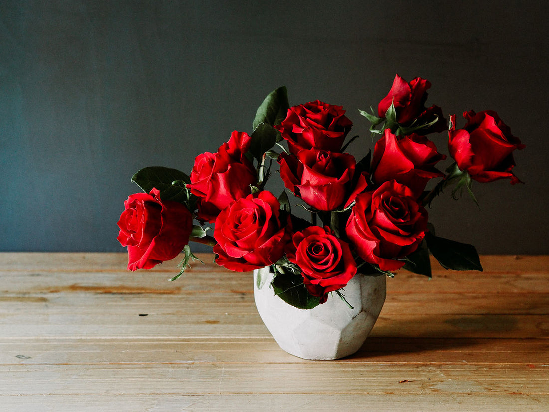 The Story of Roses