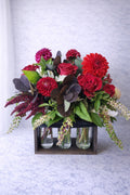 Trio of blooms