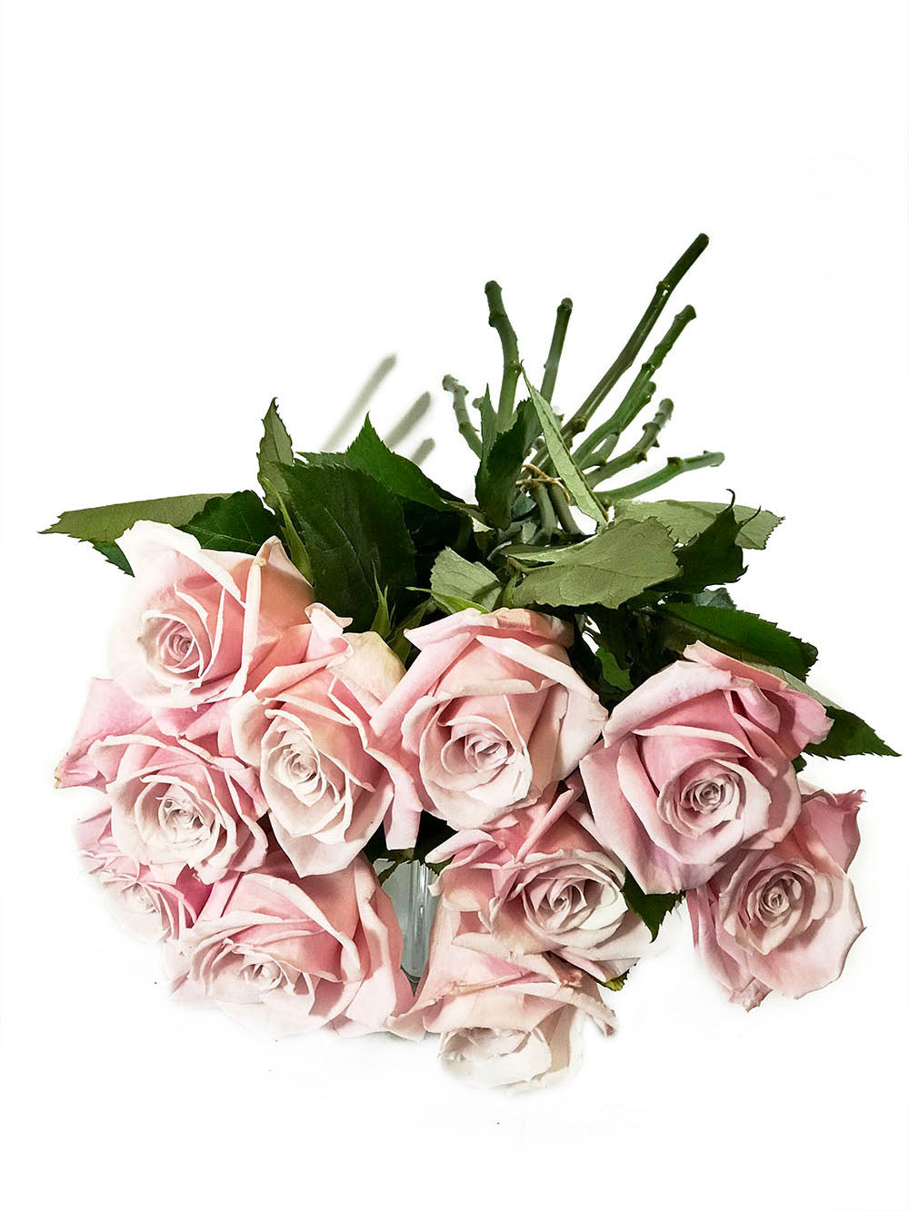 XPremium Rose Bouquet SOLD OUT